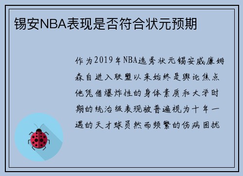 锡安NBA表现是否符合状元预期